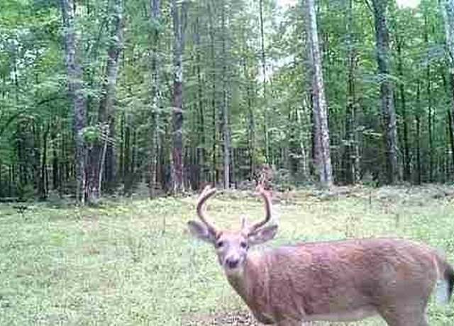 Property at Lot 4 off Hwy 77 Hwy 77, Hayward, WI 54843