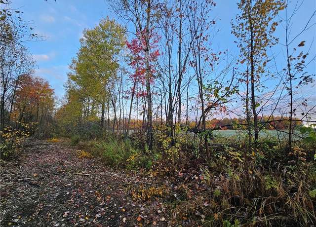 Property at 0 Spring Creek Rd, Hawkins, WI 54530