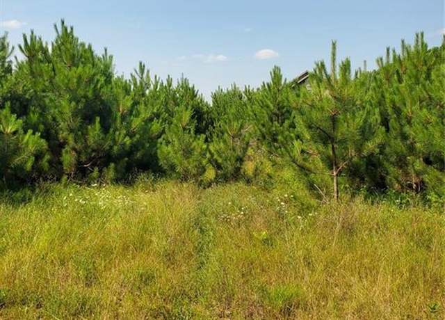 Property at 0 275th Ave, Holcombe, WI 54745