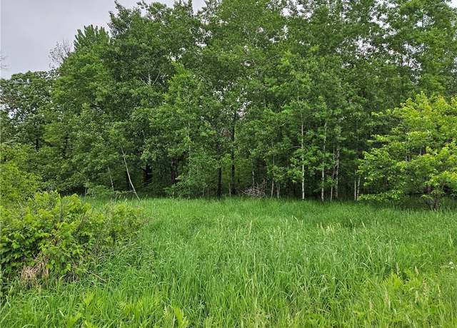Property at 20 Acres 22 1/4 St, Chetek, WI 54728