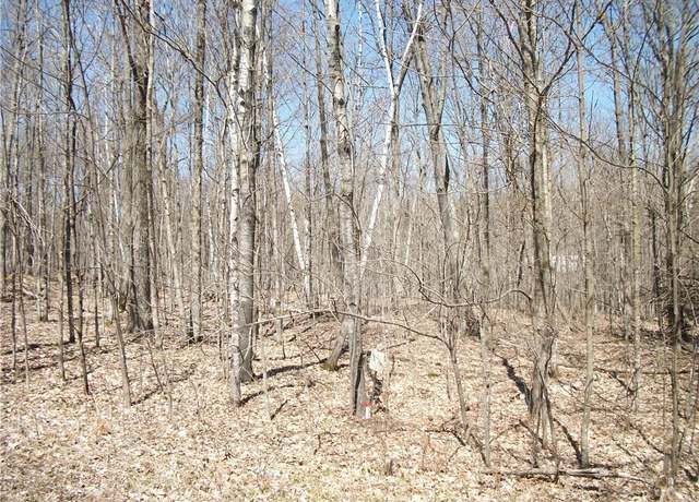 Property at LOTS #99 & #100 Woods (spruce) Ave, Birchwood, WI 54817