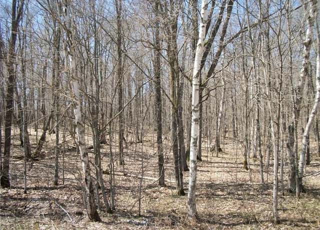 Property at LOTS 26 & 29 Loch Lomond Blvd, Birchwood, WI 54817