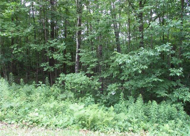 Property at LOT #99 Woods Ave, Birchwood, WI 54817