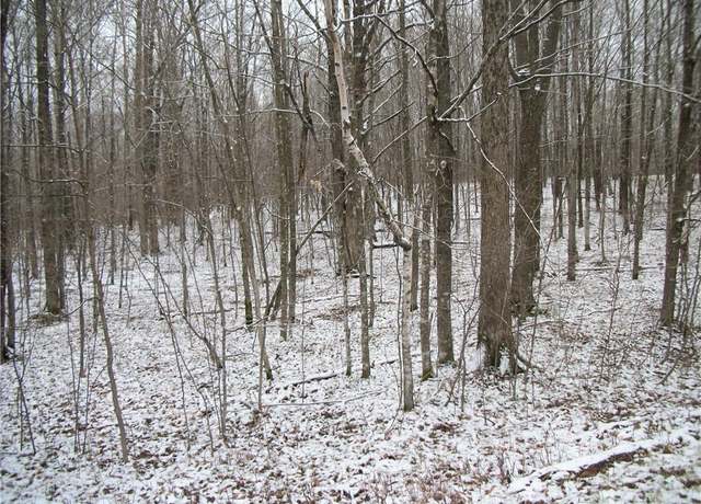 Property at Lot #96 Woods Ave, Birchwood, WI 54817