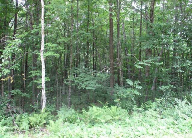 Property at Lot #96 Woods Ave, Birchwood, WI 54817