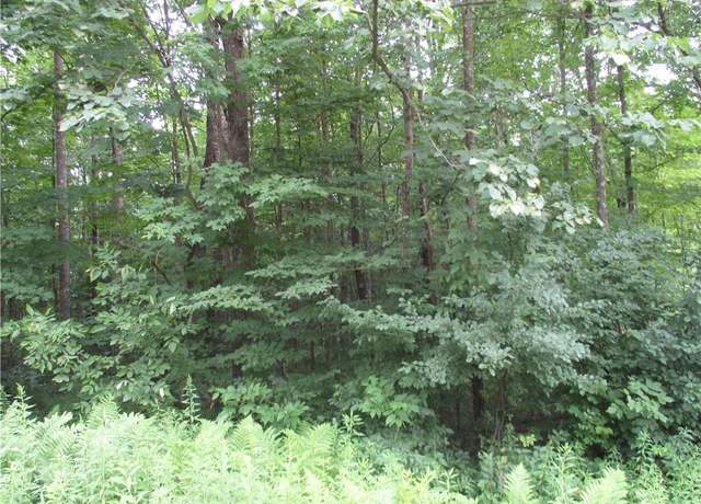 Property at LOT #100 Woods Ave, Birchwood, WI 54817