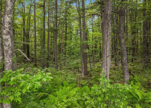 Property at Off of Mc Claine Rd, Hayward, WI 54843