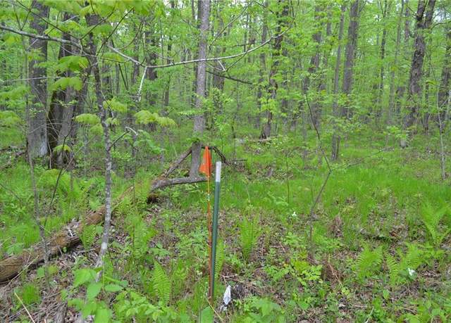Property at Tax ID #34696 Cornwall Rd, Winter, WI 54896