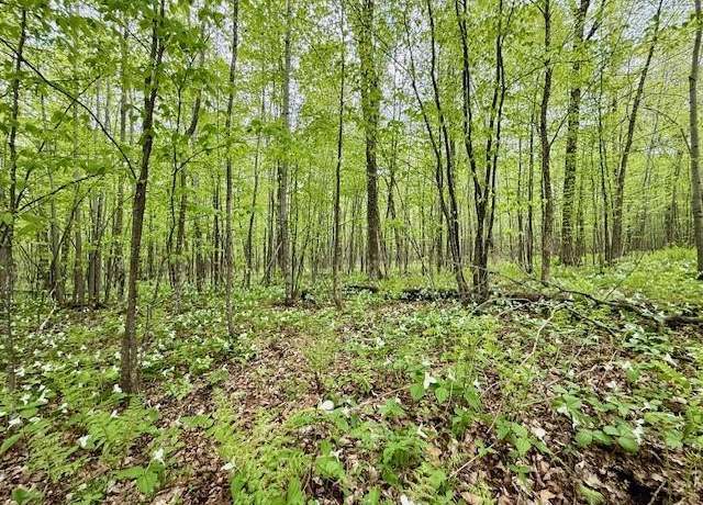 Property at 13107 W Peninsula Rd, Hayward, WI 54843