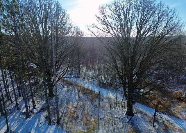 Property at 0 300th Ave, Holcombe, WI 54745