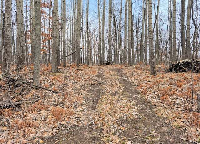 Property at 0 Town Hall Rd, Springbrook, WI 54875