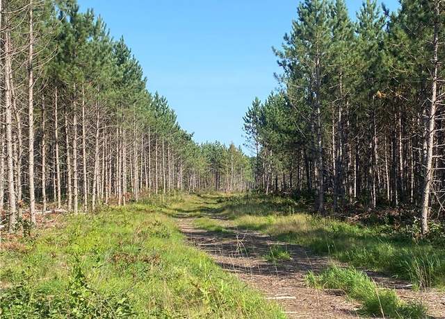Property at ON Hall Rd, Barnes, WI 54873