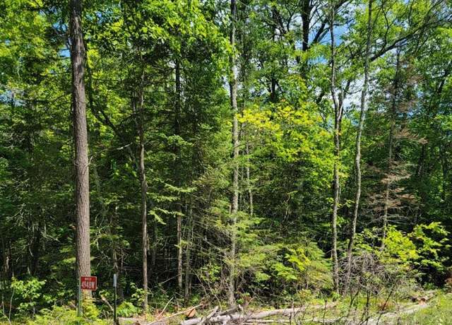 Property at 4948W Tower Rd, Winter, WI 54896