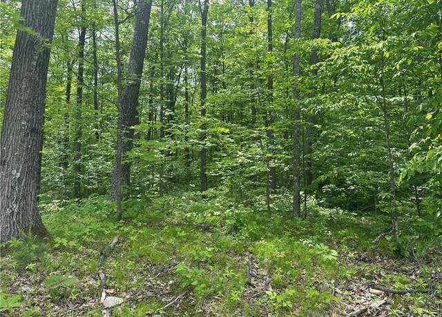 Property at 10191 Hardwood Hls, Hayward, WI 54843