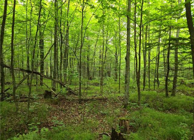 Property at Lot 31 & 32 Woodcrest Dr, Cable, WI 54821