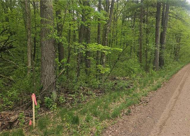 Property at Lot 2 Buckeye Ln, Stone Lake, WI 54876