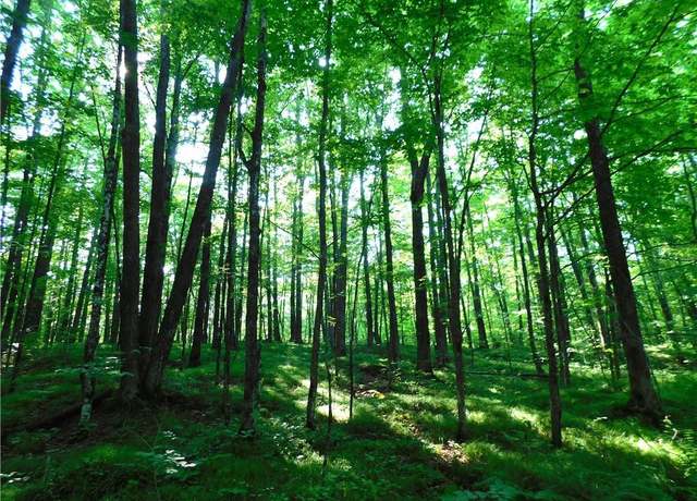 Property at 80 Acres Off Of County Road O, Ogema, WI 54459