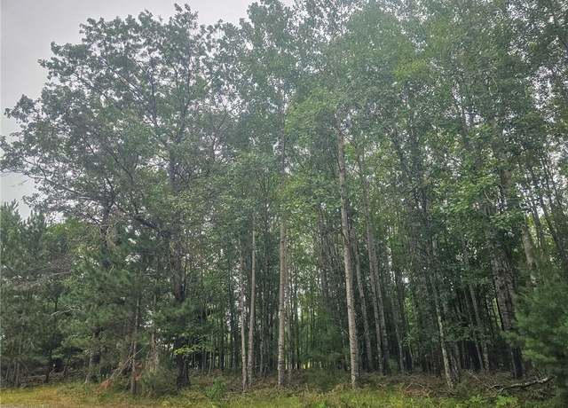 Property at xx Loon Lake Rd, Danbury, WI 54830