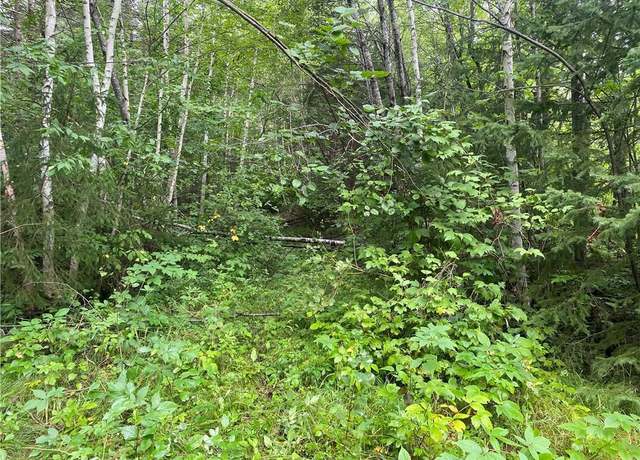 Property at On Knowles Rd, Loretta, WI 54896