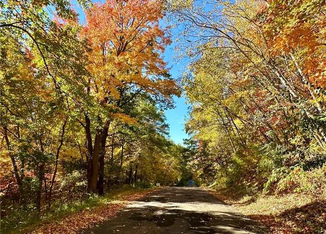 Property at E9606 (20 acres) 740th Ave, Elk Mound, WI 54739