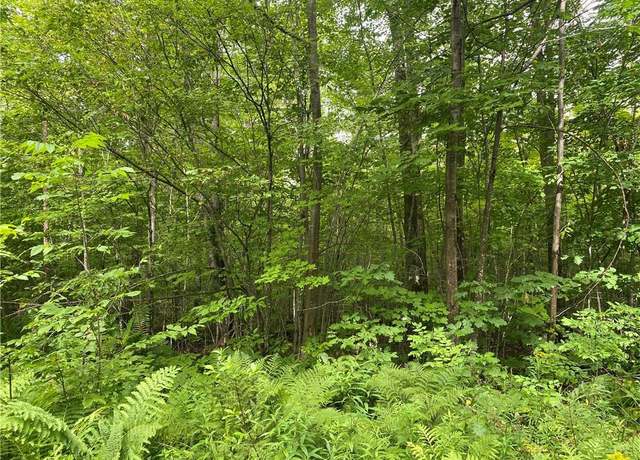 Property at Near County Rd W, Winter, WI 54896