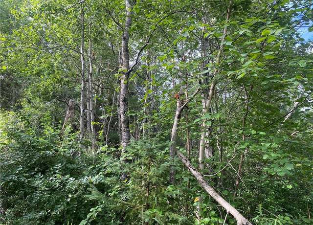 Property at On Delap Ln, Winter, WI 54896