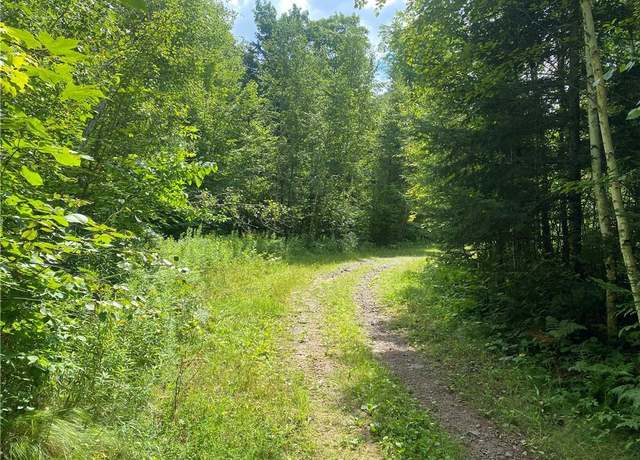 Property at Near Warren Rd, Fifield, WI 54524
