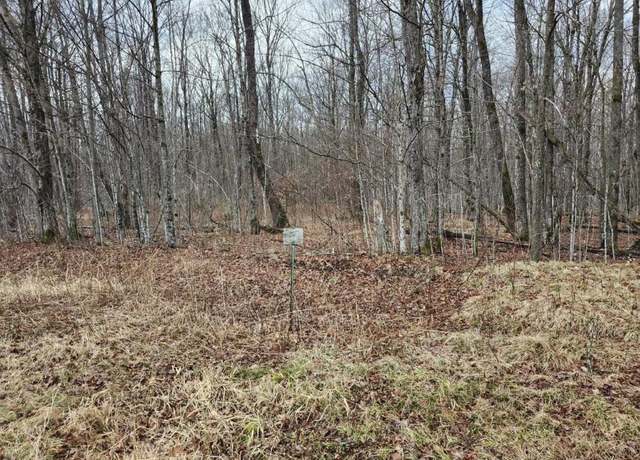 Property at On Lake Winter Rd, Winter, WI 54896