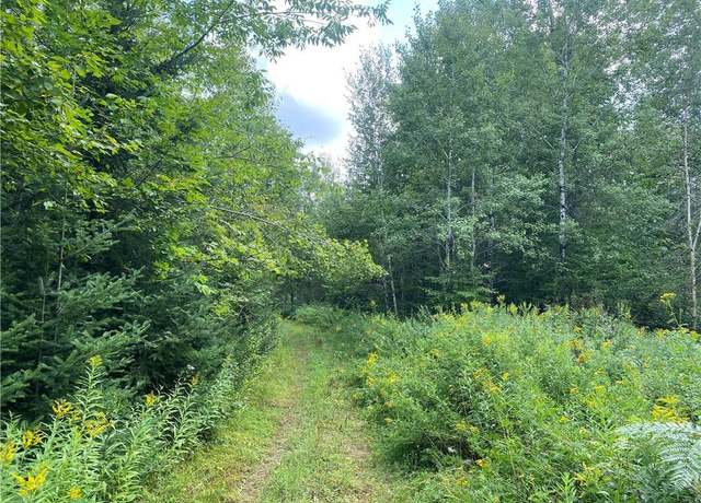 Property at On Reynolds Rd, Park Falls, WI 54552