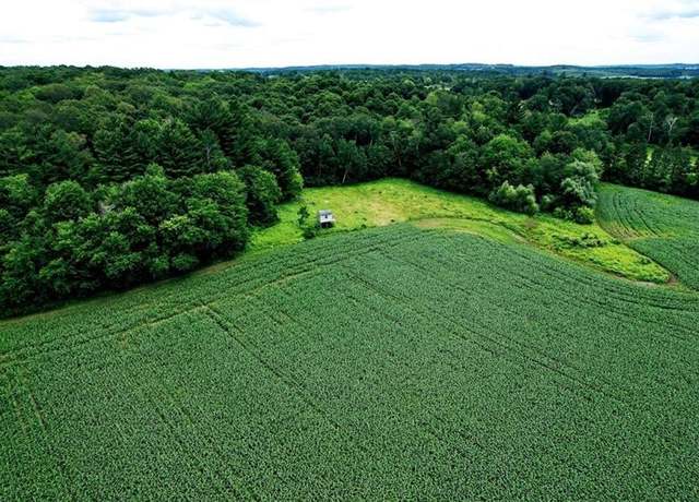 Property at XXX County Road O, Dallas, WI 54733