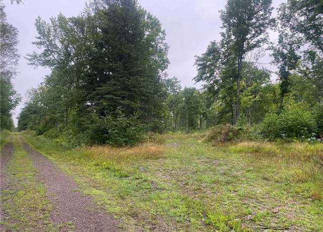 Property at On Doland Rd, Loretta, WI 54896