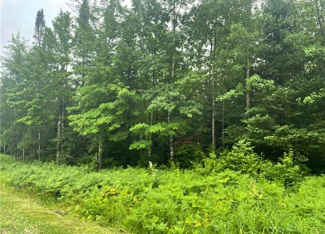 Property at 40 Acres Corner Of Cty N And Mackenberg Rd, Glidden, WI 54527