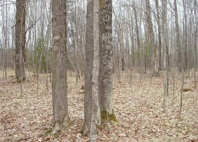 Property at Lot 1 4th Add. Margaret Ln, Park Falls, WI 54552