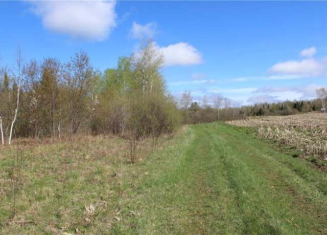 Property at 36.50 Acres County Road M, Ogema, WI 54459