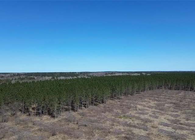 Property at N/A Tomahawk Lake Rd, Barnes, WI 54873