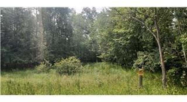 Photo of Lot 3 xxx County Road D, Clayton, WI 54004