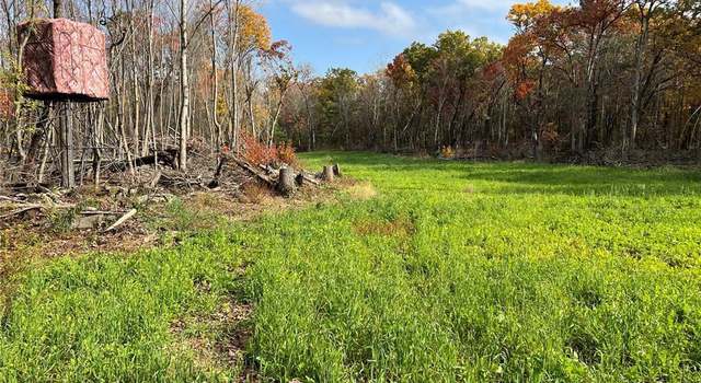 Photo of 0 Lot 1 Squirrel Rd, Hixton, WI 54635