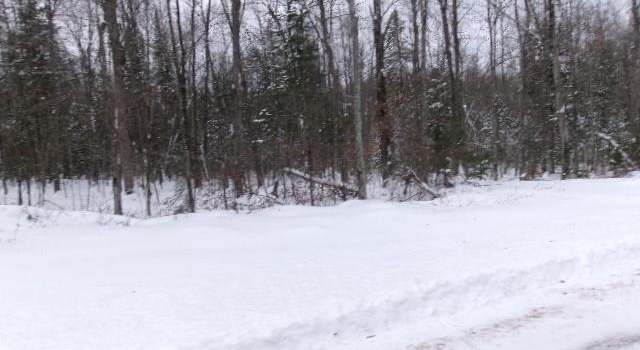 Photo of 0000 Irish Rd, Exeland, WI 54835