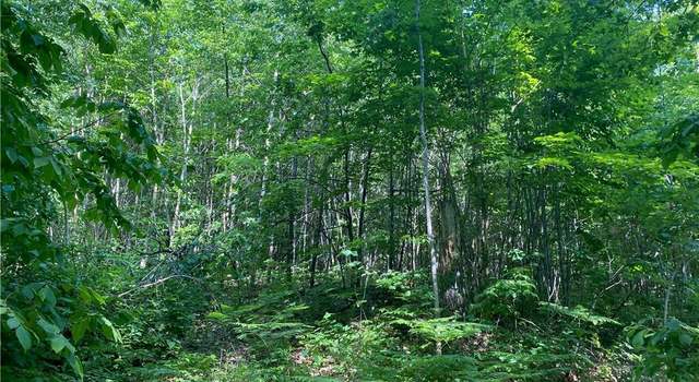 Photo of Lot 7 Secluded Trl, Hayward, WI 54843