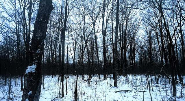 Photo of 40 Acres Off Deer Path Rd, Jump River, WI 54766
