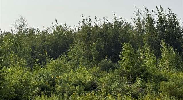 Photo of 5 acres 11th Ave, Chetek, WI 54728
