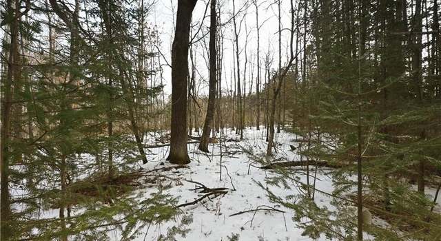 Photo of 0 1st St, Trego, WI 54888