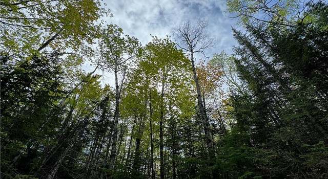 Photo of 5.56 acres on Evergreen Rd, Port Wing, WI 54865