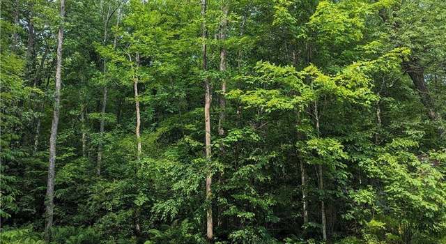 Photo of 0 Price Dam Rd, Winter, WI 54896