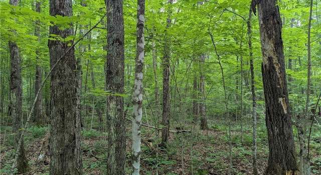 Photo of 0 Price Dam Rd, Winter, WI 54896
