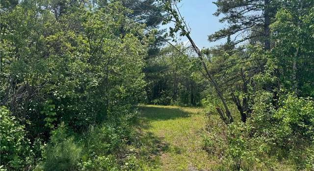Photo of 40 acres on Erkkilla Rd, Brule, WI 54820