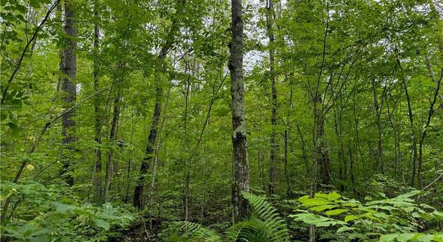 Photo of 4.752 acres on Gurno Lake Rd, Hayward, WI 54843
