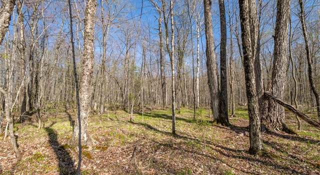 Photo of 0 Olson Rd, Hayward, WI 54843