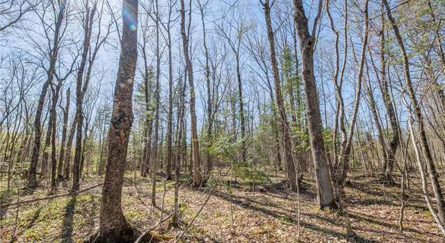 Photo of 0 Olson Rd, Hayward, WI 54843