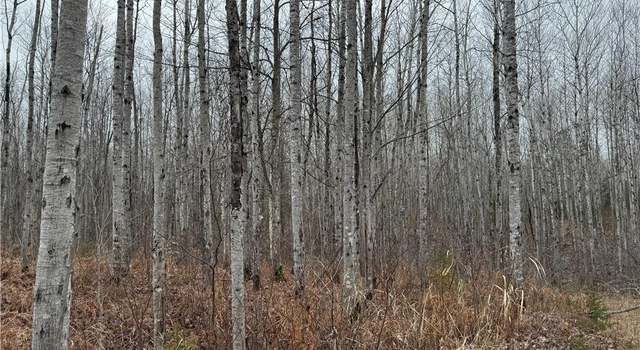 Photo of 80 acres Tar Paper Aly, Brule, WI 54820